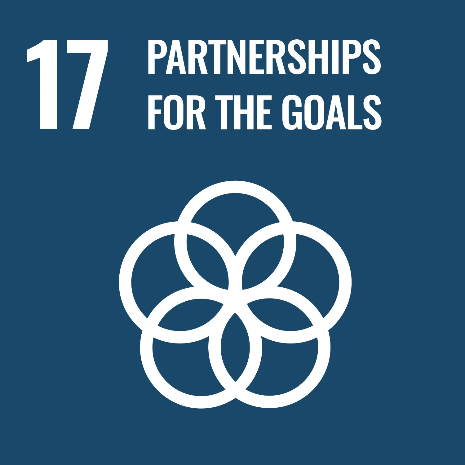 Partnerships to Achieve the Goals