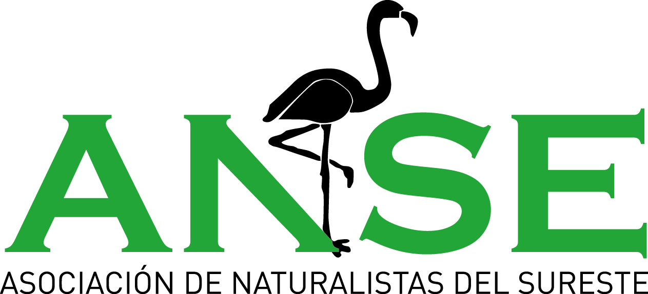 Logo ANSE
